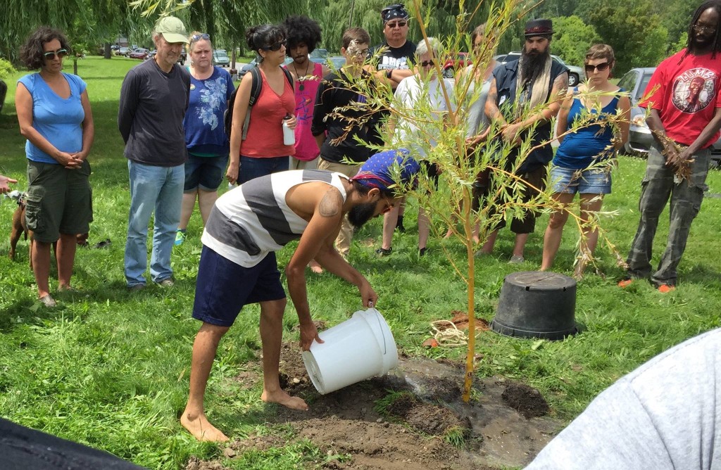 tree planting